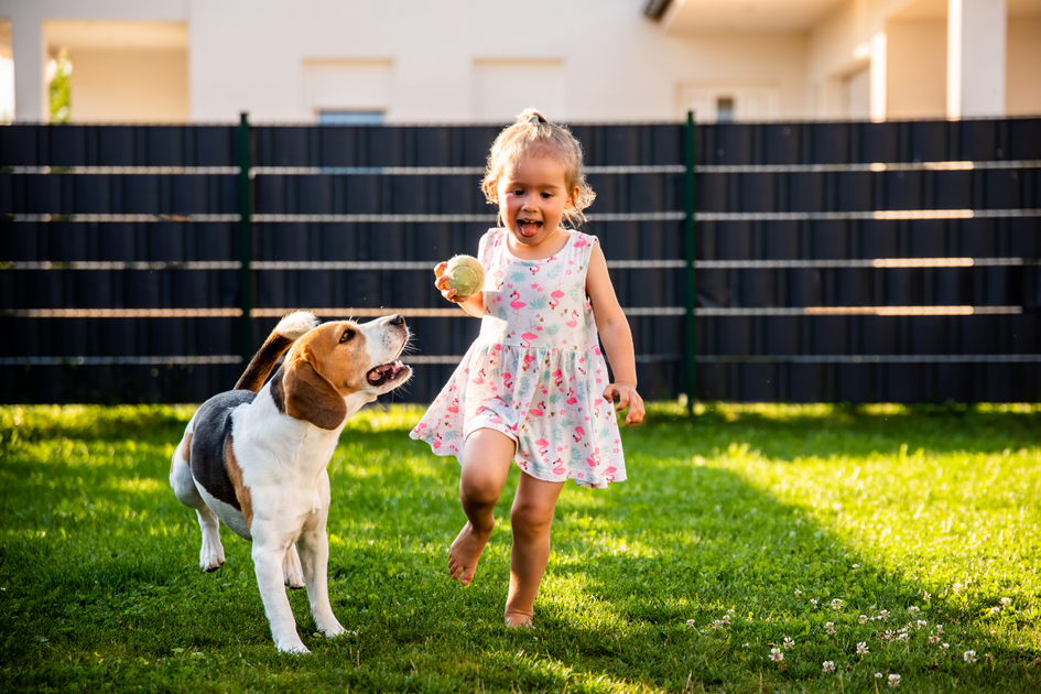 Solutions for dog best sale poop in yard