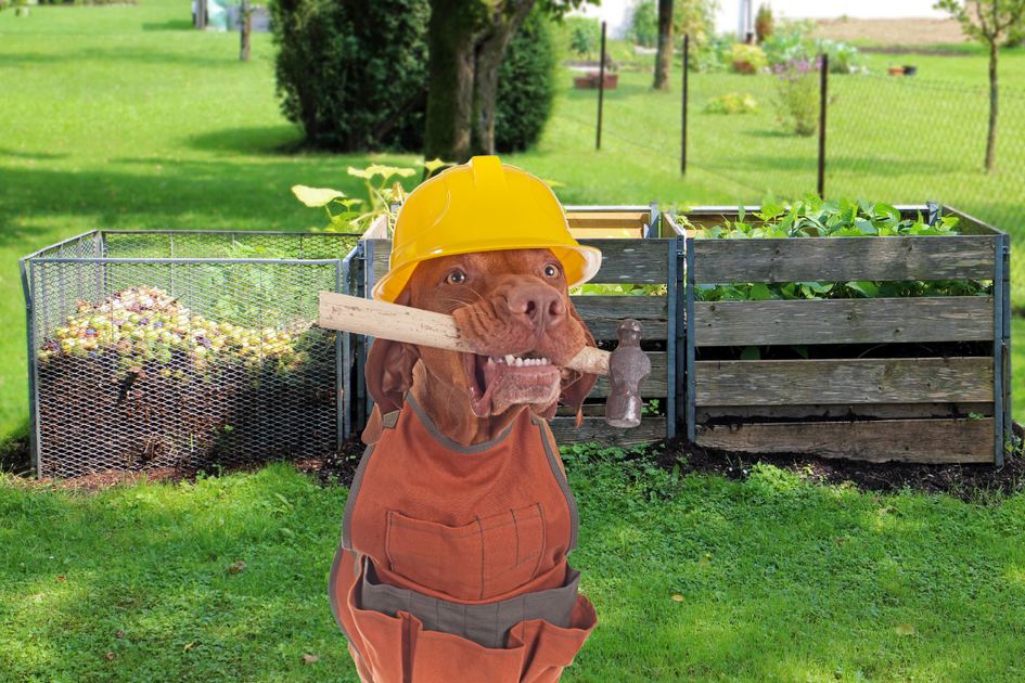 Build Your Dog Poop Compost Bin Step By Step Give A Shit Earth