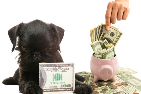 Managing Dog Care Costs: The 50/30/20 Budget Approach