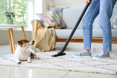 How To Clean Dog Diarrhea From Carpet