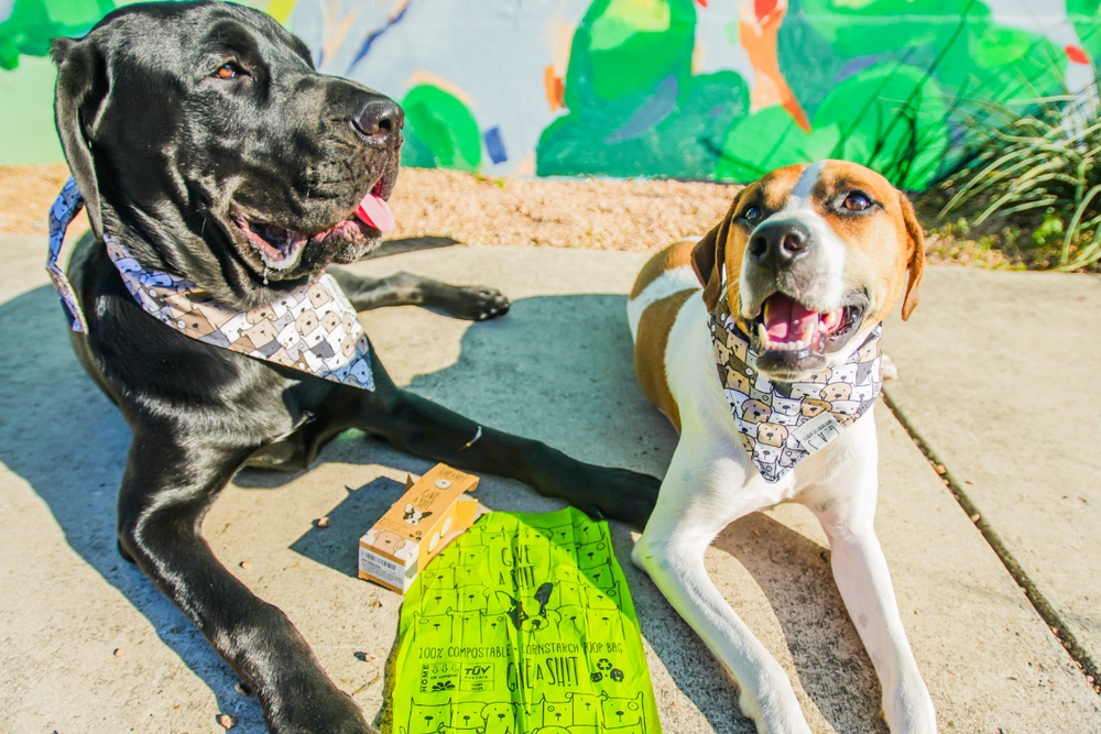 Fido house 2024 dog bags biodegradable