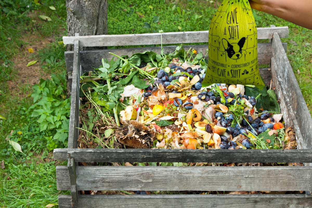Compost Dog Poop: The Only Guide You Will Use – GIVE A SH!T™ - Earth ...