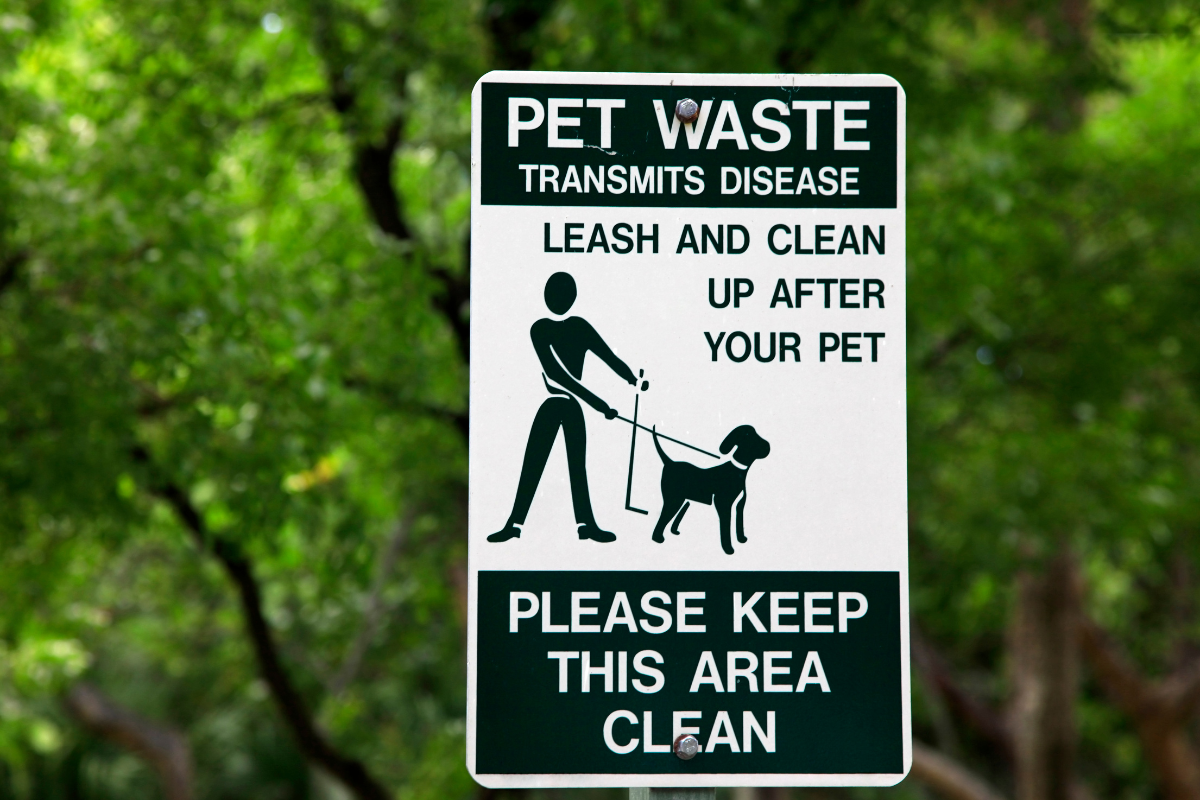 We're sorry, but your dog's poop is actually bad for the environment