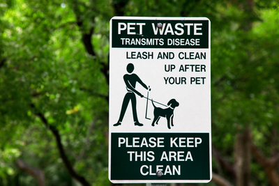 We're Sorry, But Your Dog's Poop Is Actually Bad For The Environment
