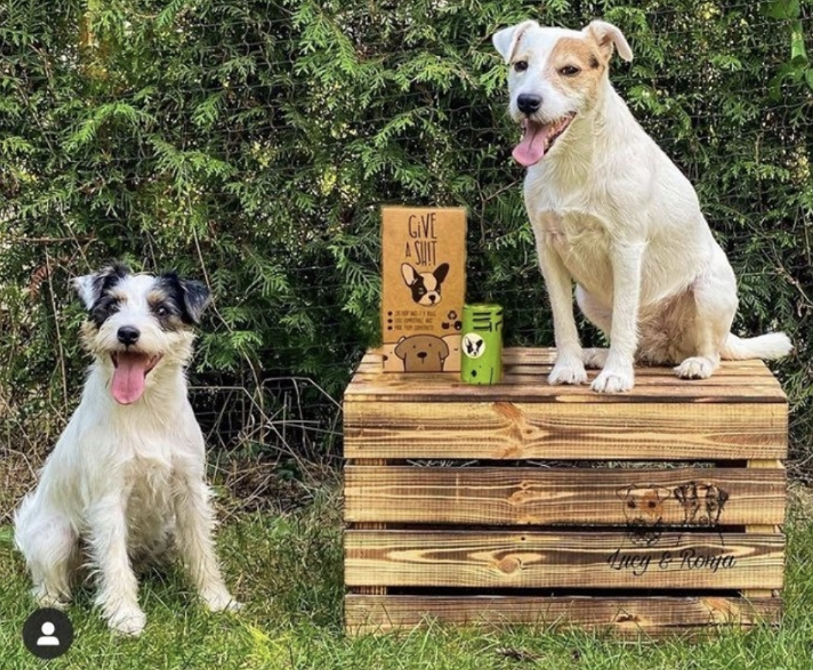 Dog poop bags: degradable, biodegradable or compostable?