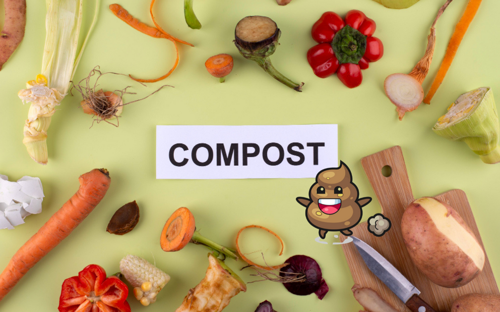 How To Compost Dog Poop In Your Balcony DIY Dog Waste Composter Give