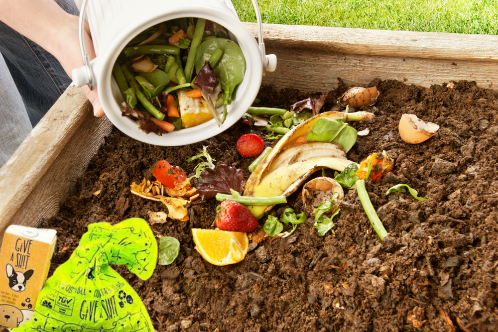 Shit Composter 6 Things You Need To Know To Safely Compost Dog Poop At Home – Give A ...