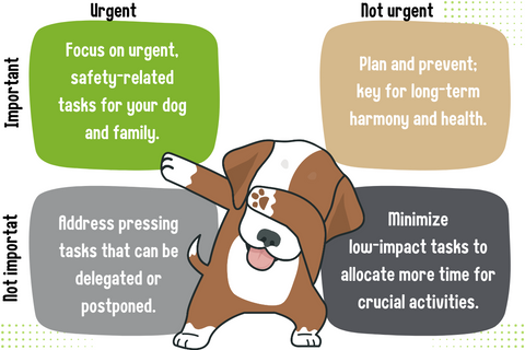 Using the Eisenhower Matrix for Better Dog Parent Time Management