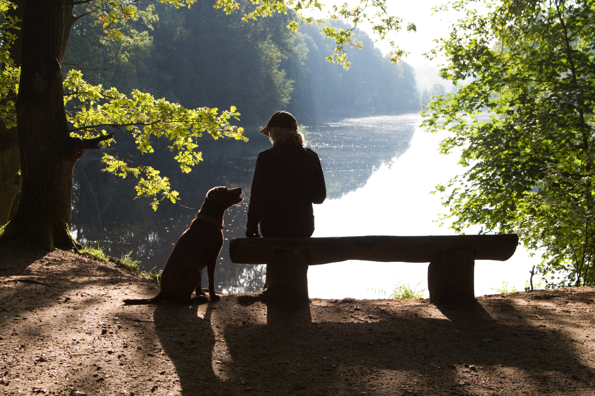 My Dog Died And I Feel Empty: How To Survive The Grieving For My Pup's