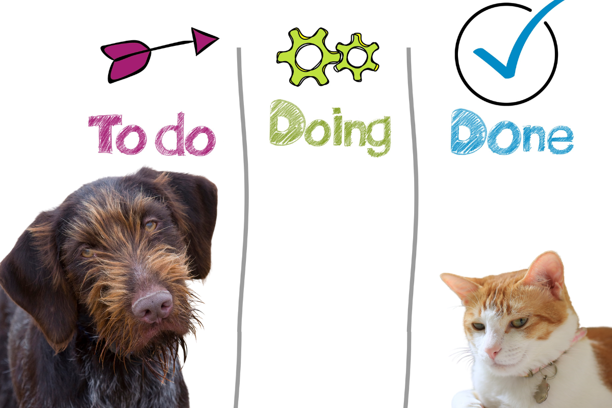 Kanban Method for Dog Owners: Simplify and Optimize Your Pet Care Routine