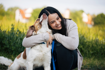 Choosing The Right Pet Insurance For Dogs: A Comprehensive Guide