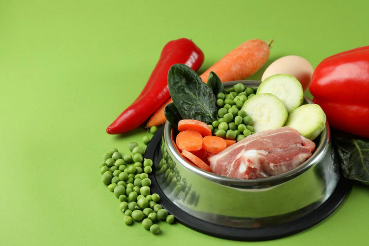 How to make your own sustainable dog food at home