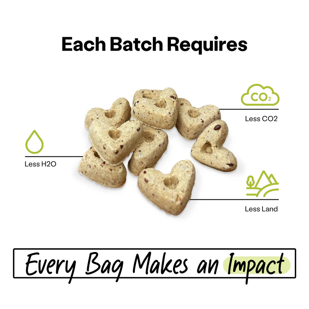 3 Pack - Superfood Dog Treats with Koji (5 oz per bag) by Wild Earth