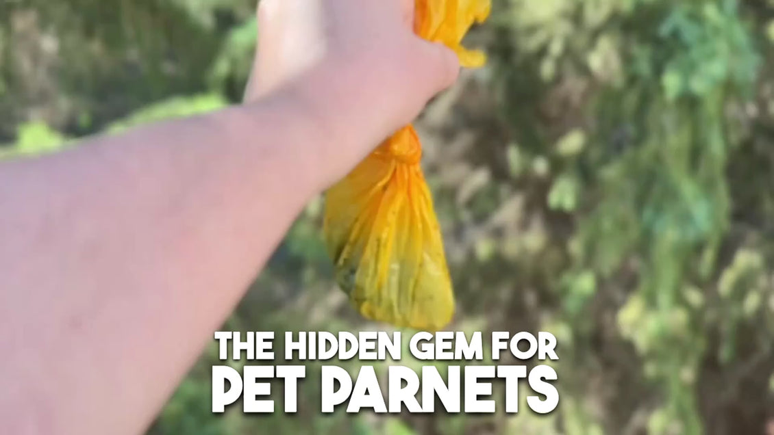 GIVE A SH!T long compostable dog poop bags with handles video customer review testimonial, real user experience with large dogs, TÜV certified home compostable