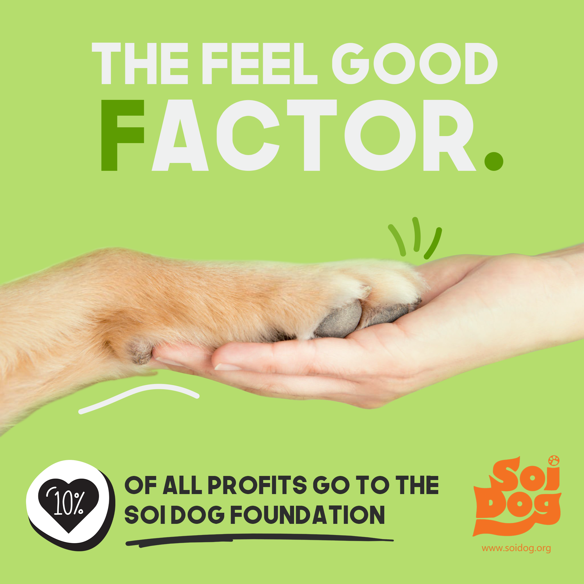 GIVE A SH!T donates 10% of all profits to Soi Dog Foundation for animal rescue, charitable mission-driven pet product company, rescuing stray dogs and cats
